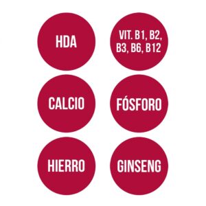 GINSENG CON JALEA REAL (60 cap.) - Imagen 5