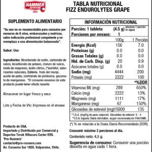 Electrolitos - Endurolytes Fizz® Tableta Individual – HAMMER NUTRITION - Imagen 3