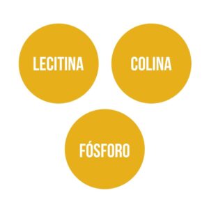 LECITINA DE SOJA (90 perlas) – Ana Maria Lajusticia - Imagen 4